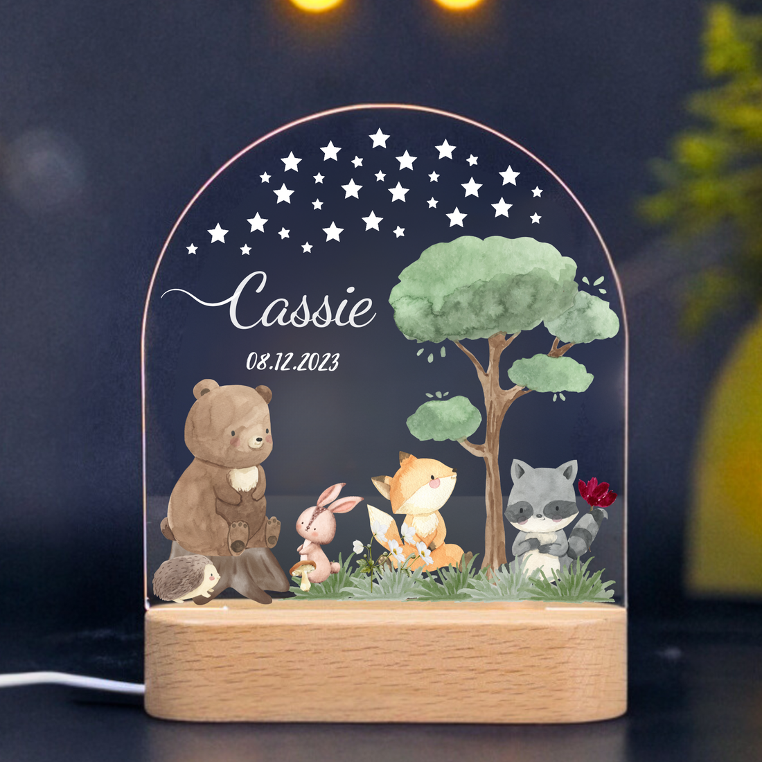 Baby and Kids Name Night Light