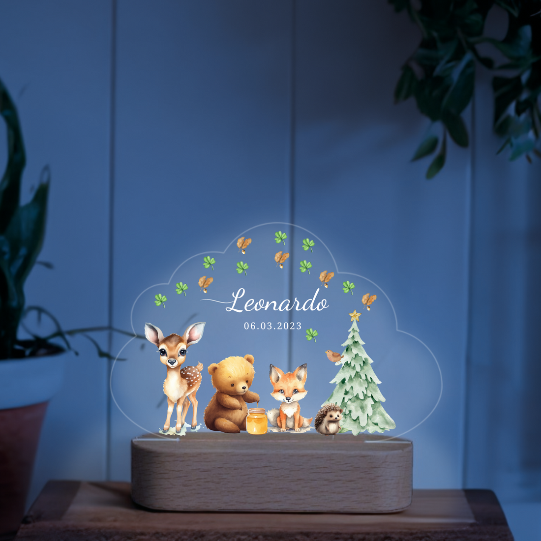 Acrylic Christmas Night Light