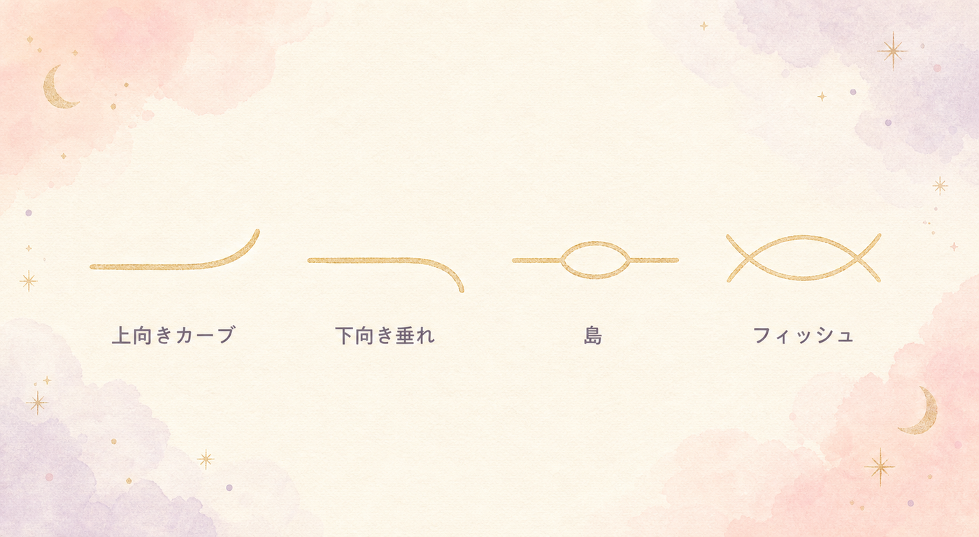 結婚線の形いろいろ、見分け方の図解